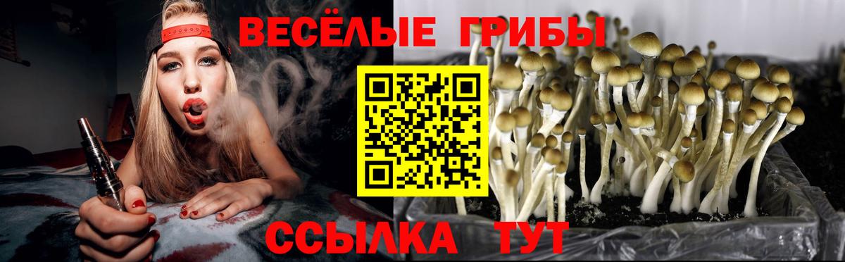 Псилоцибиновые грибы ЛСД Шадринск
